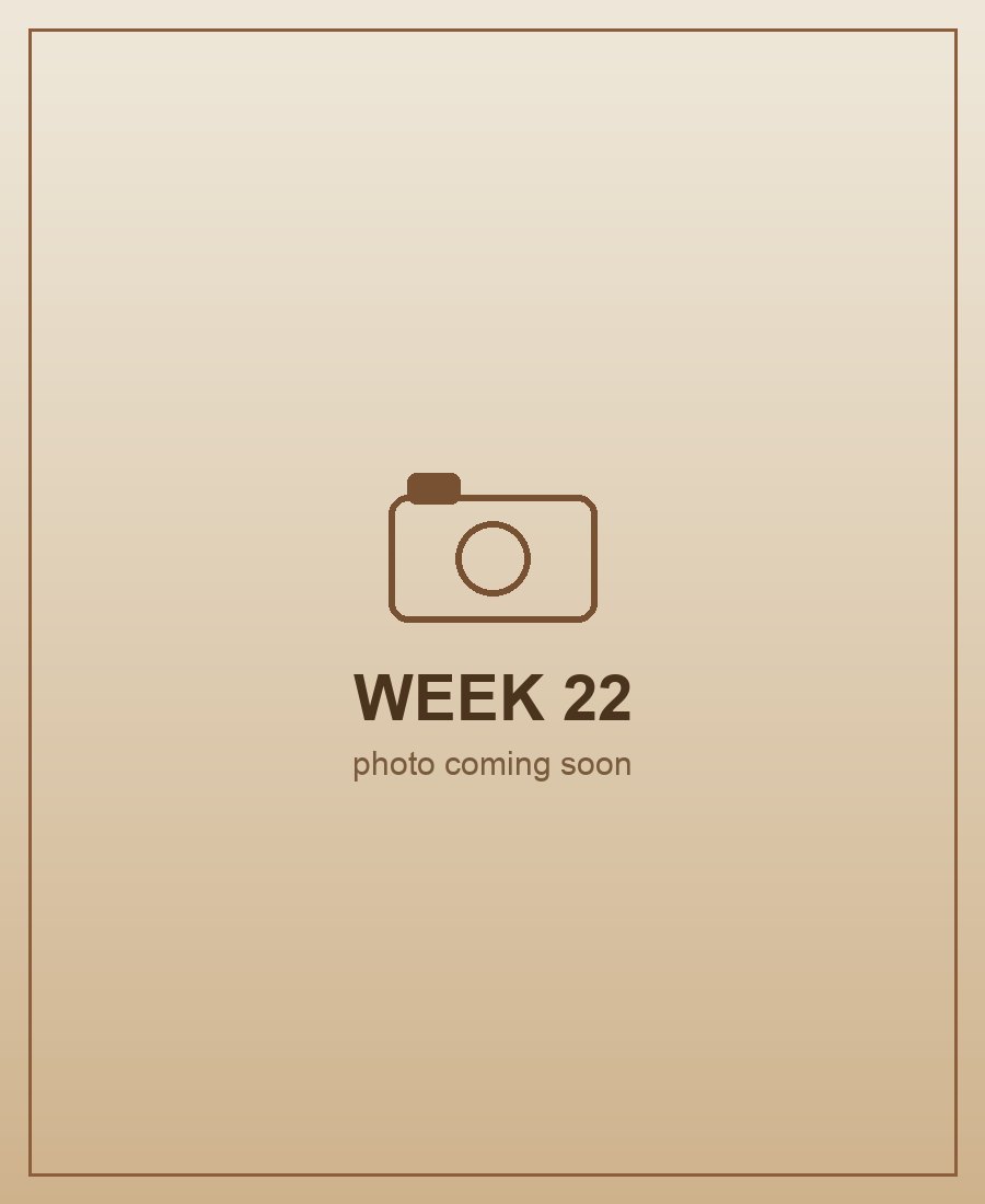 Week 22